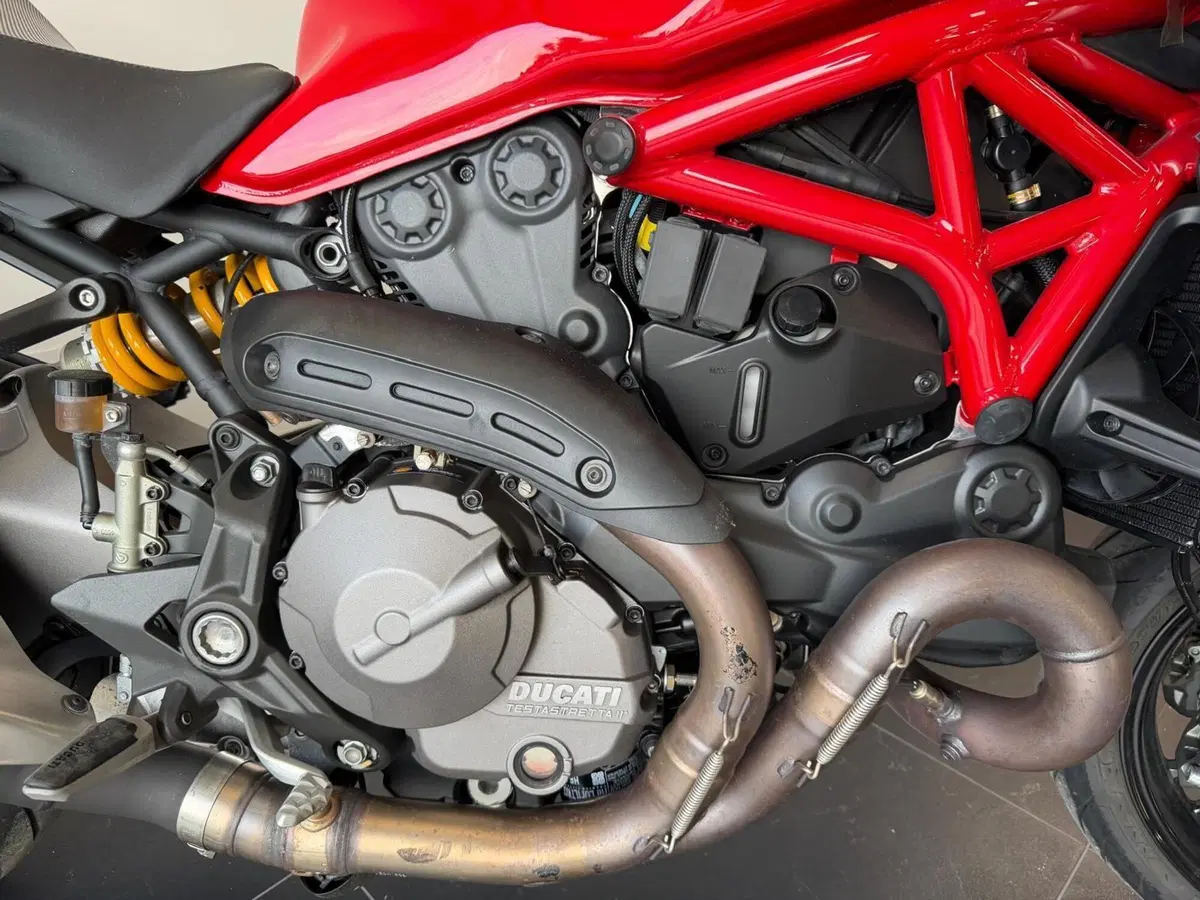 Ducati Monster 821 (2018 - 20) (4)