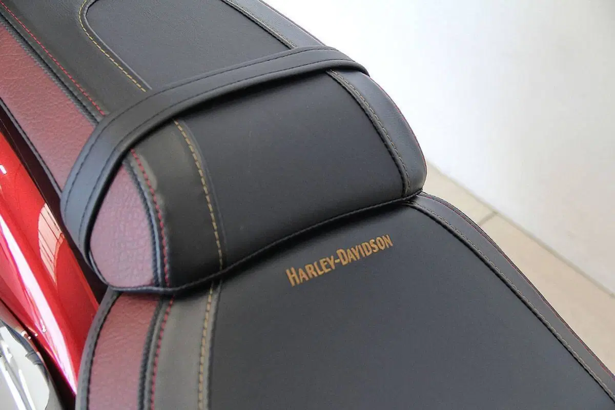 Harley-Davidson Fat Boy 114 Anniversary (2023) (10)