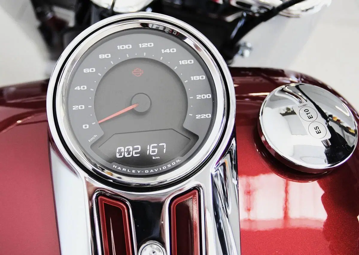 Harley-Davidson Fat Boy 114 Anniversary (2023) (11)