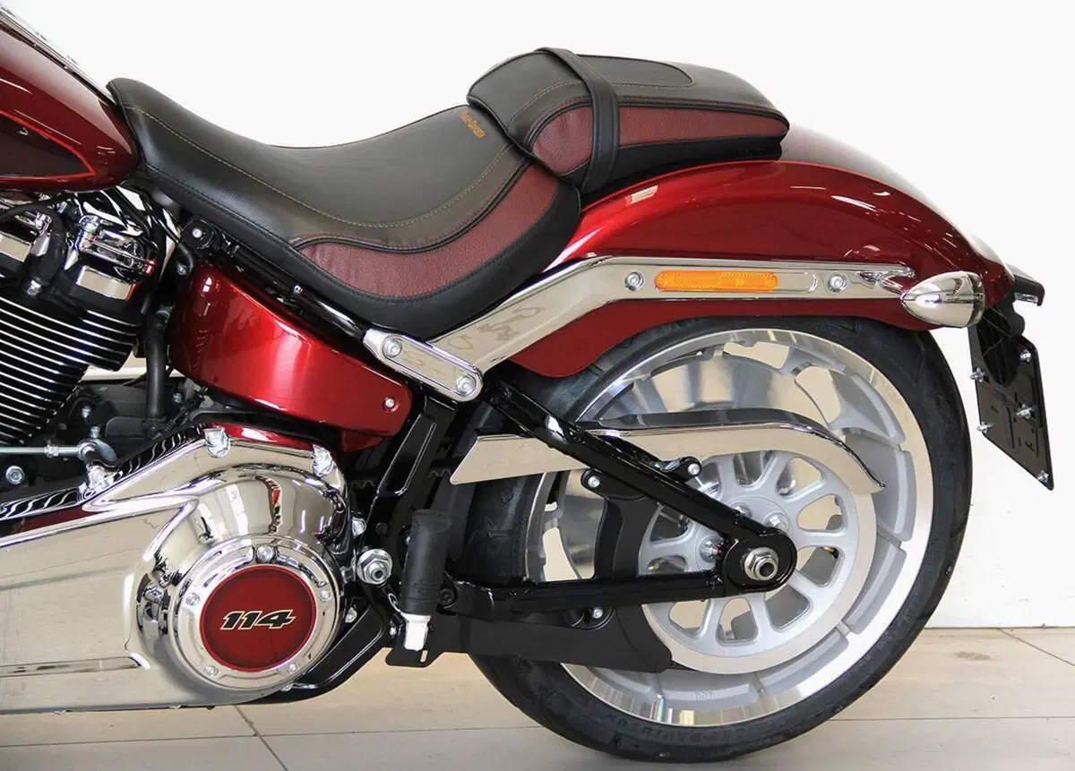 Harley-Davidson Fat Boy 114 Anniversary (2023) (13)