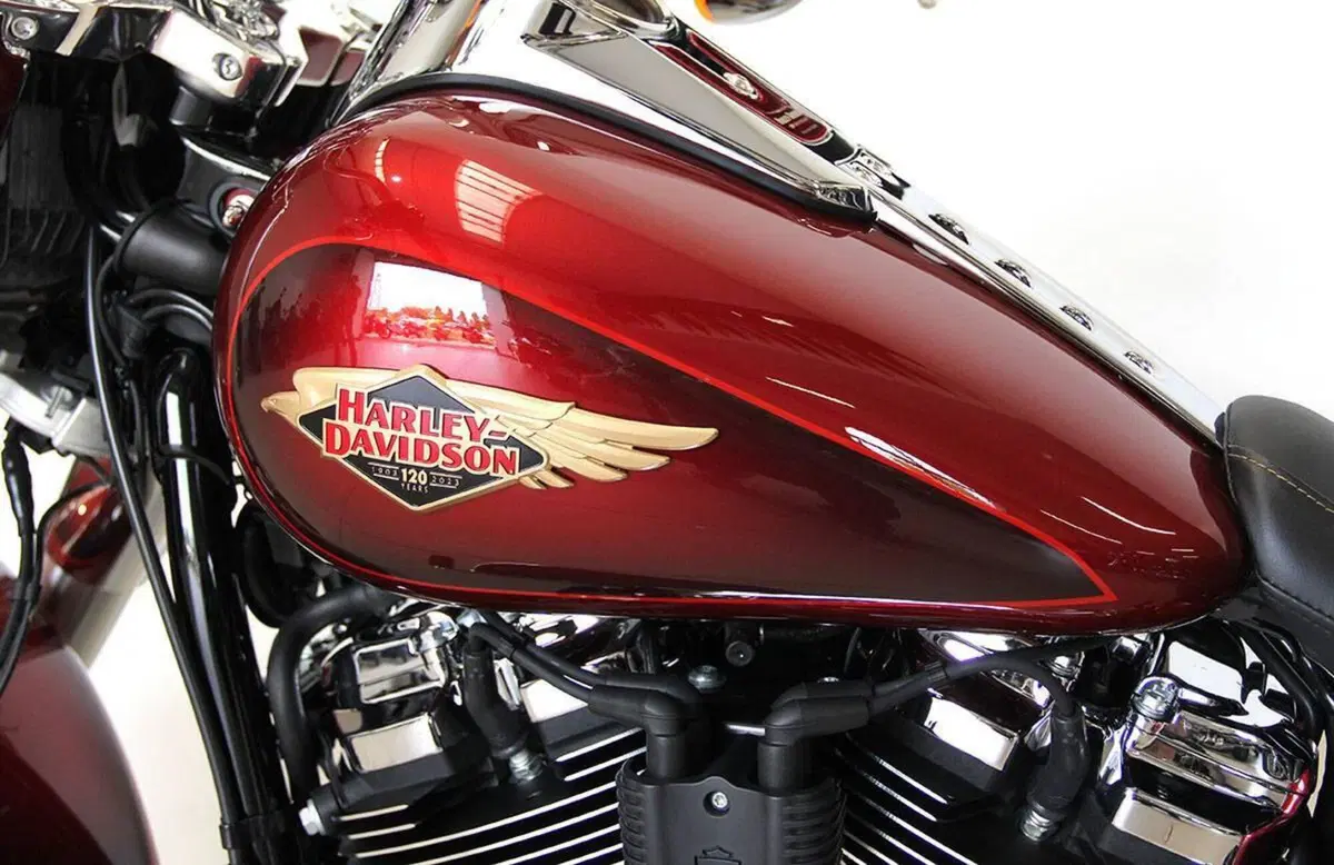 Harley-Davidson Fat Boy 114 Anniversary (2023) (18)
