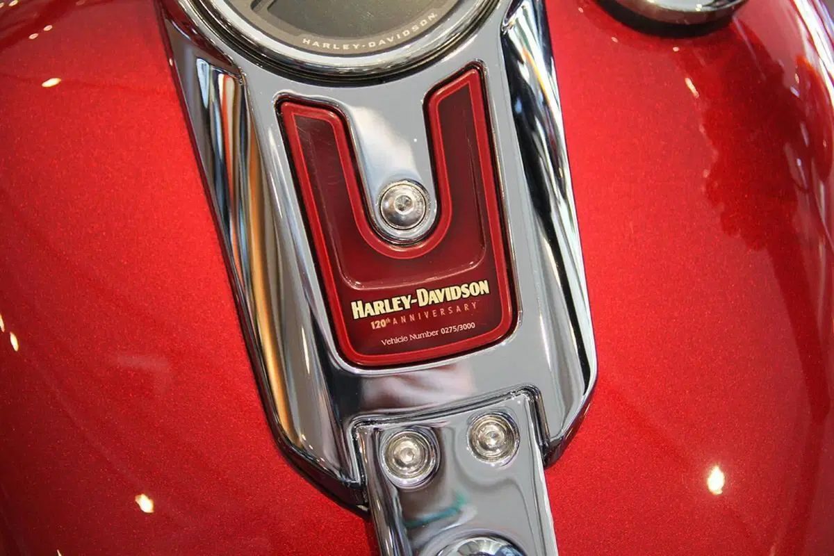 Harley-Davidson Fat Boy 114 Anniversary (2023) (19)