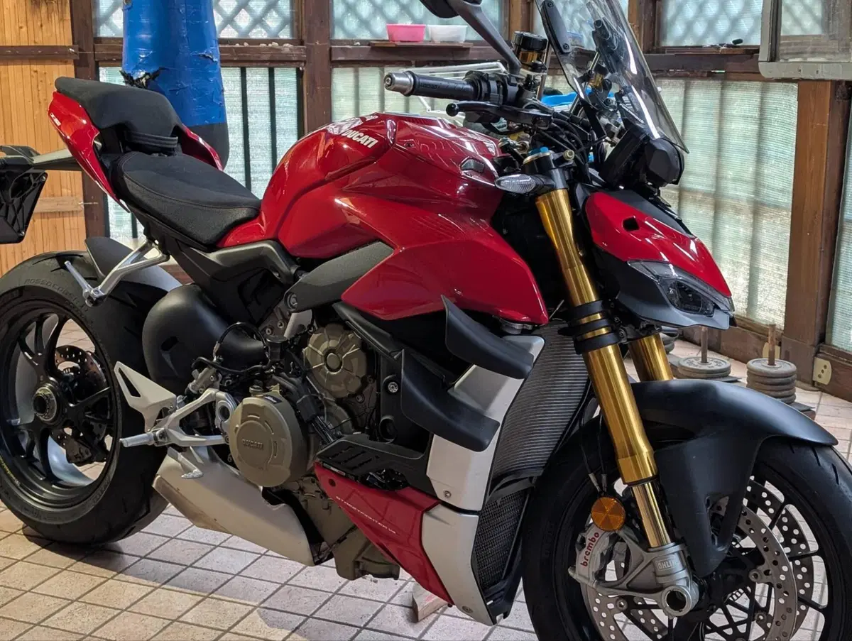 Ducati Streetfighter V4 1100 S (2021 - 22) (7)
