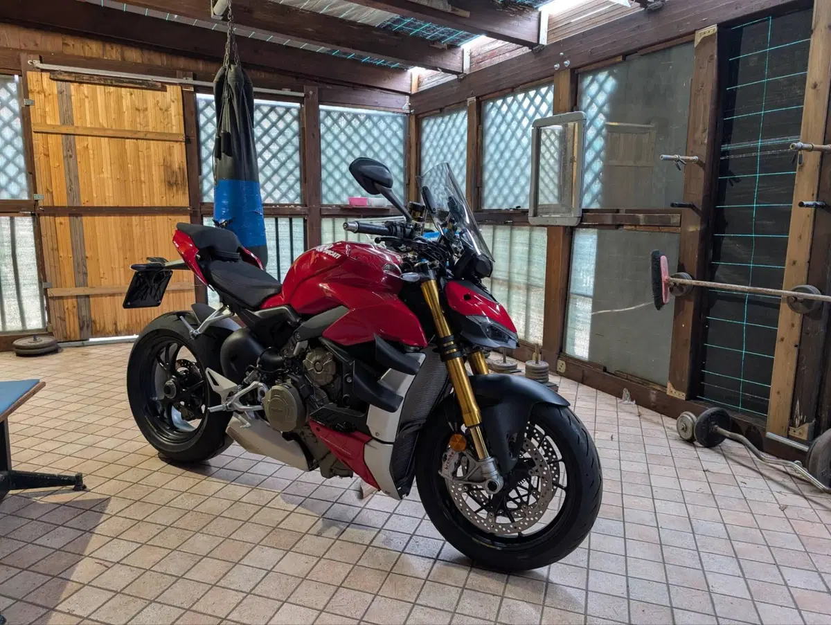 Ducati Streetfighter V4 1100 S (2021 - 22) (8)