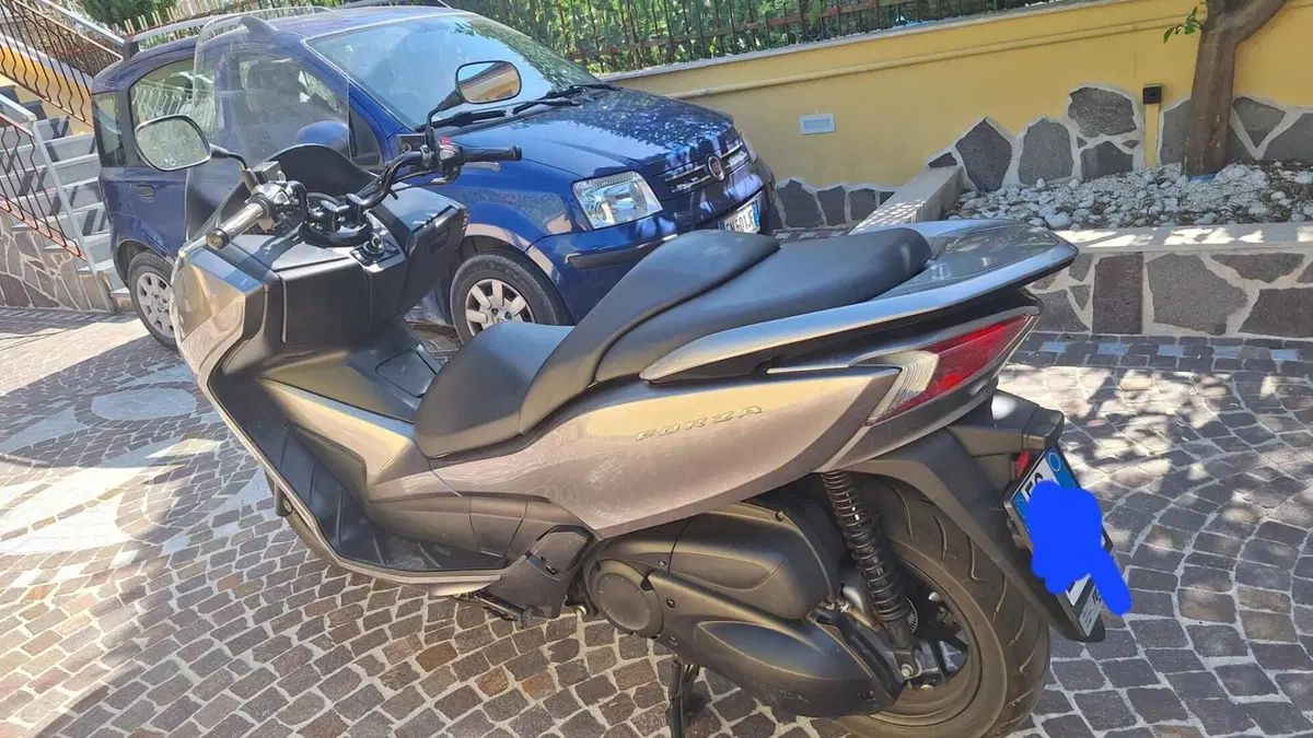 Honda Forza 300 ABS (2013 - 17) (5)