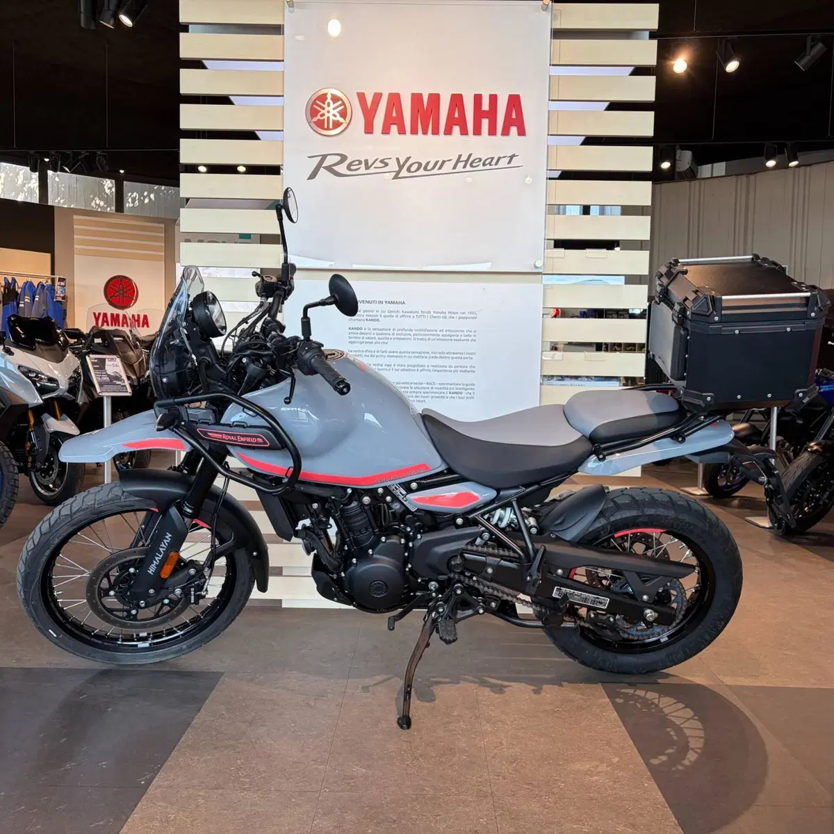 Royal Enfield Himalayan 450 (2024 - 26) (8)