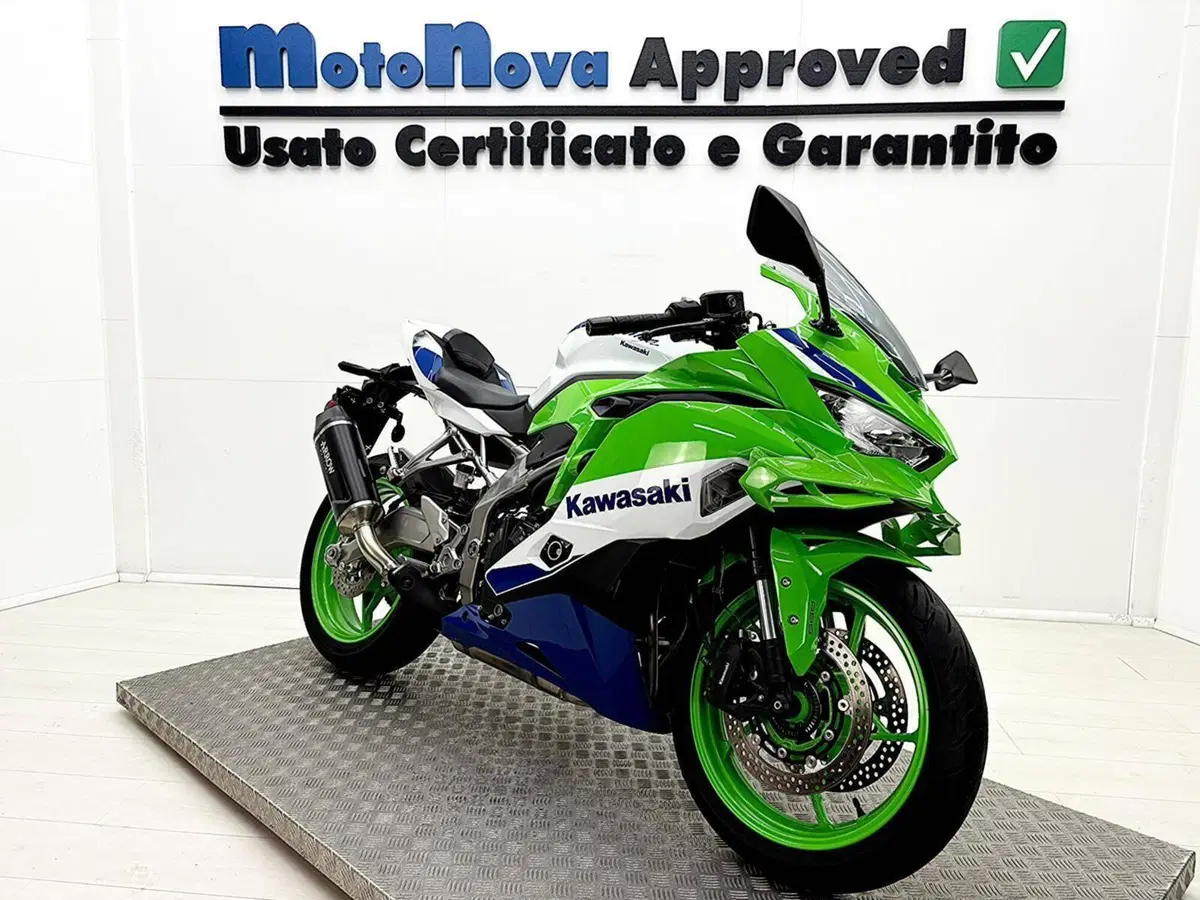 Kawasaki Ninja ZX-4RR (2024 - 26) (5)