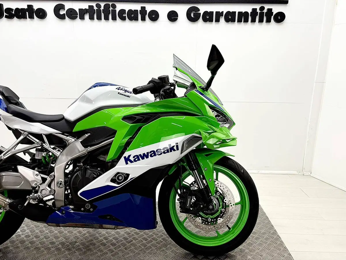 Kawasaki Ninja ZX-4RR (2024 - 26) (10)