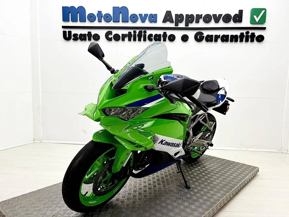 Kawasaki Ninja ZX-4RR (2024 - 26) (3)