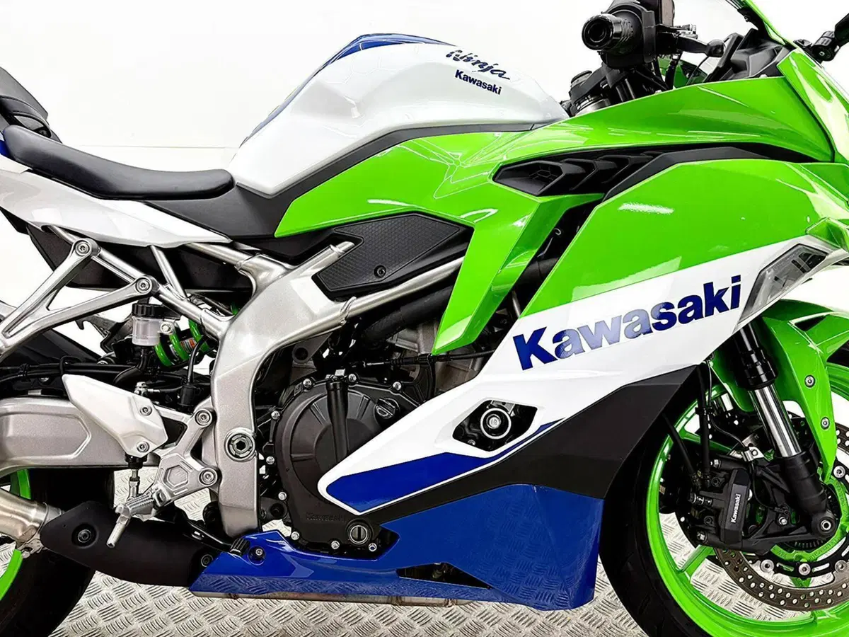 Kawasaki Ninja ZX-4RR (2024 - 26) (9)