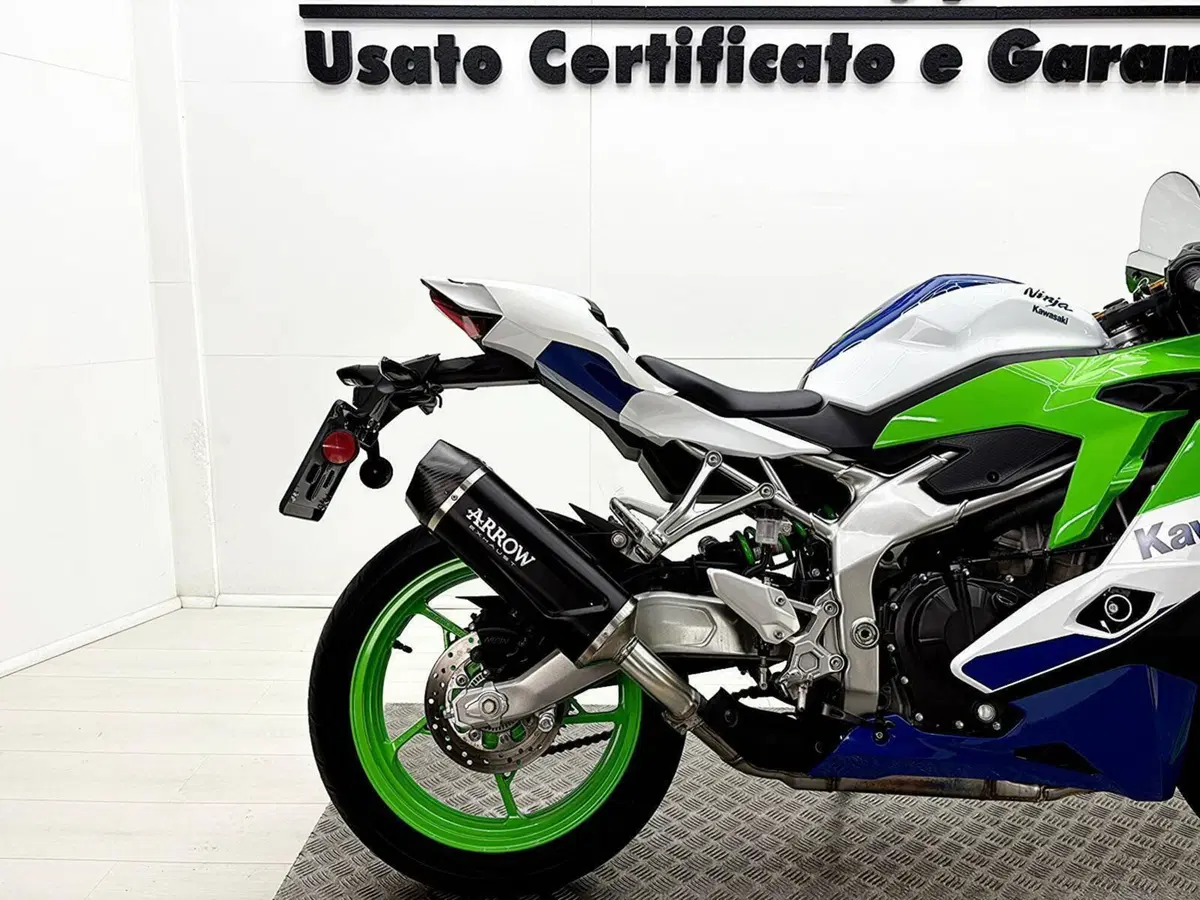 Kawasaki Ninja ZX-4RR (2024 - 26) (8)