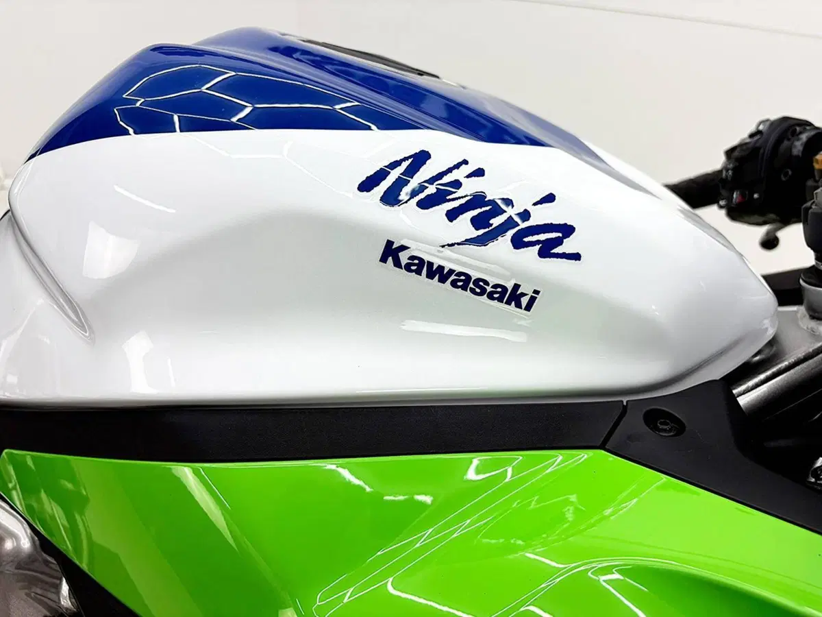 Kawasaki Ninja ZX-4RR (2024 - 26) (16)