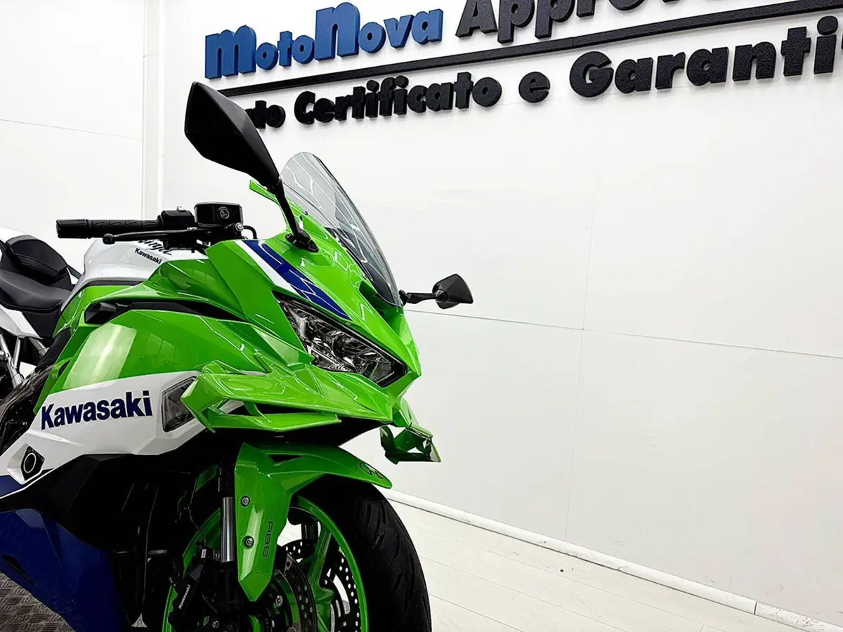 Kawasaki Ninja ZX-4RR (2024 - 26) (11)