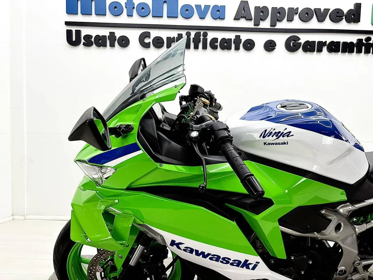 Kawasaki Ninja ZX-4RR (2024 - 26) (14)