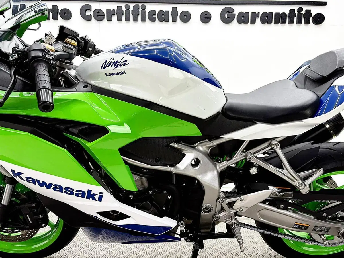 Kawasaki Ninja ZX-4RR (2024 - 26) (17)