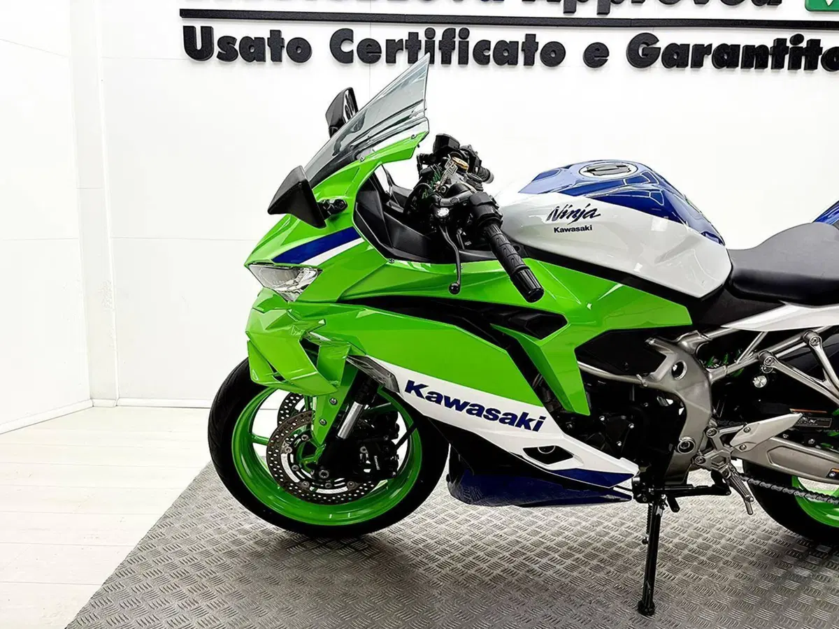 Kawasaki Ninja ZX-4RR (2024 - 26) (15)