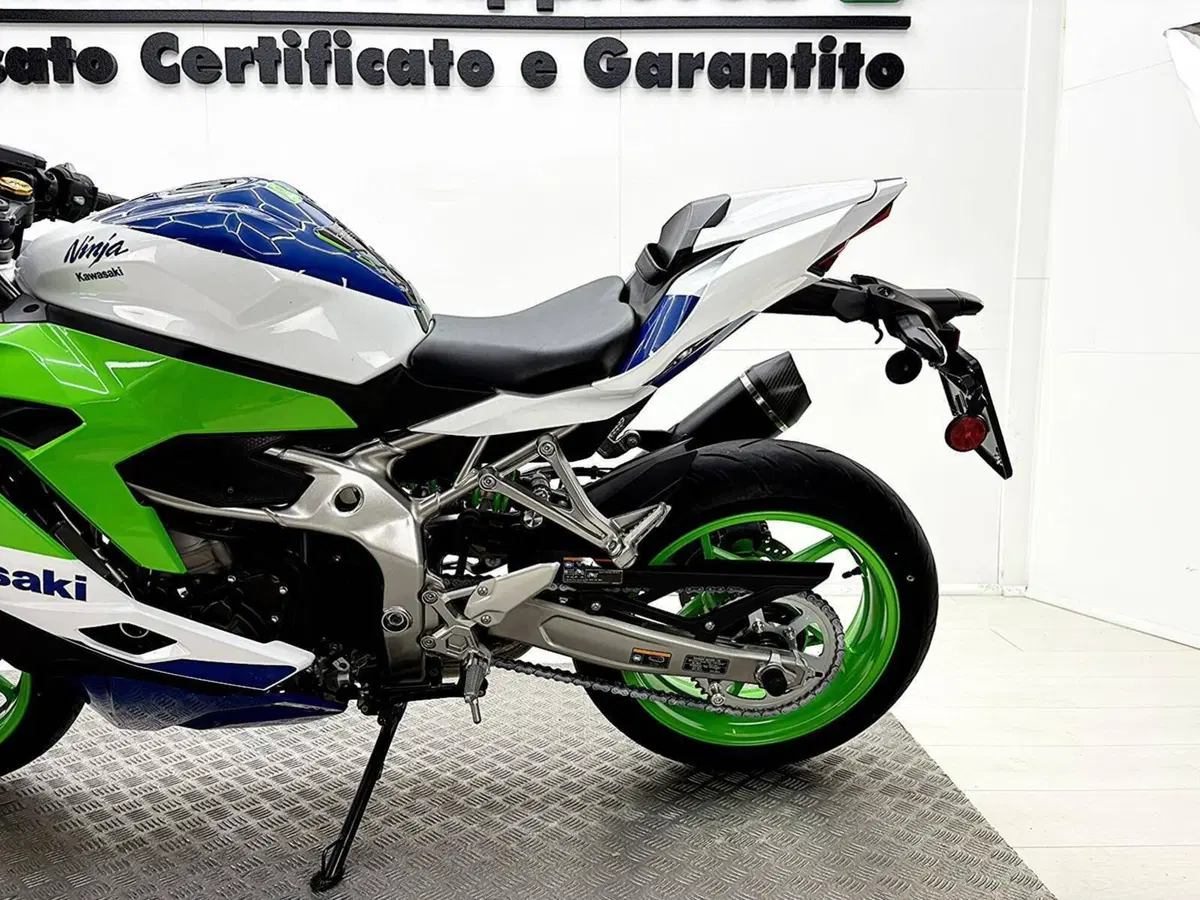 Kawasaki Ninja ZX-4RR (2024 - 26) (18)