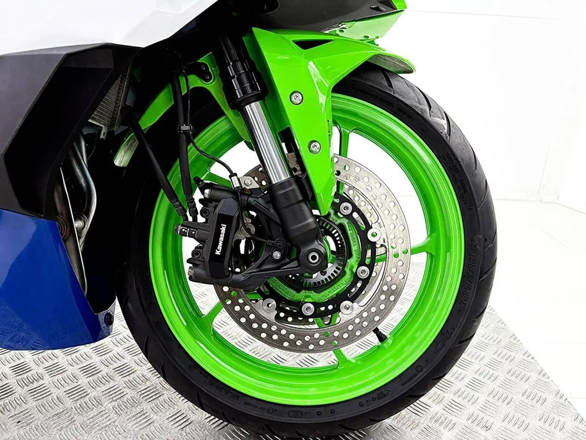 Kawasaki Ninja ZX-4RR (2024 - 26) (12)