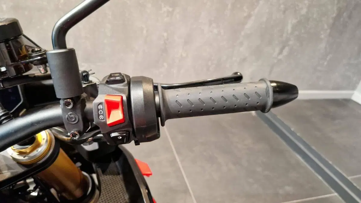 Aprilia Tuono V4 Factory (2025 - 26) (11)