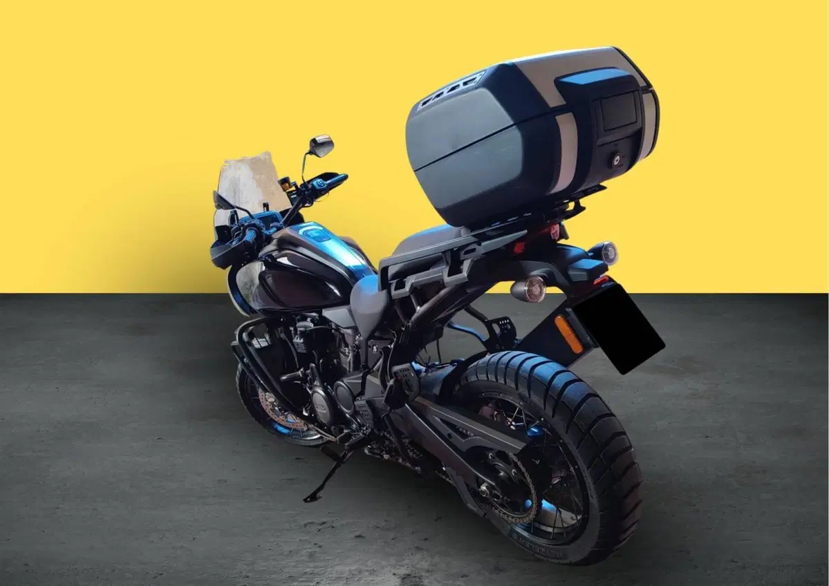 Harley-Davidson Pan America 1250 Special (2020 - 25) (4)