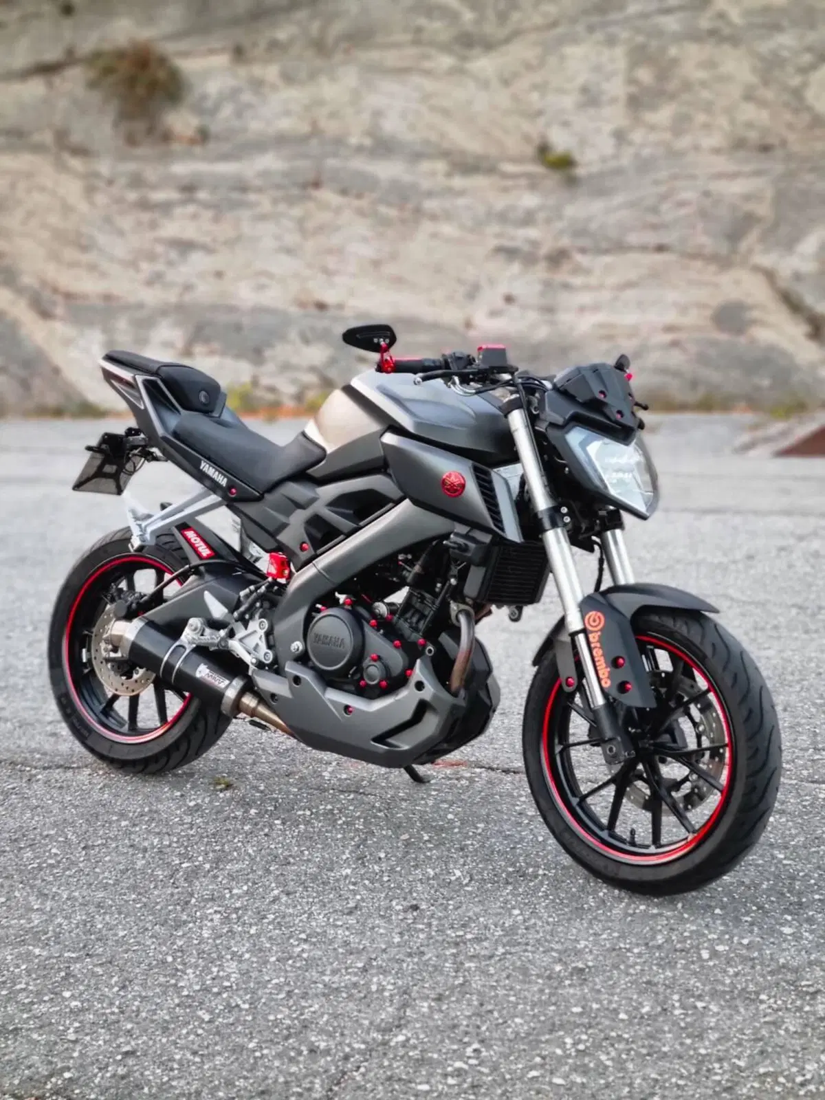 Yamaha MT-125 (2014 - 16) (3)