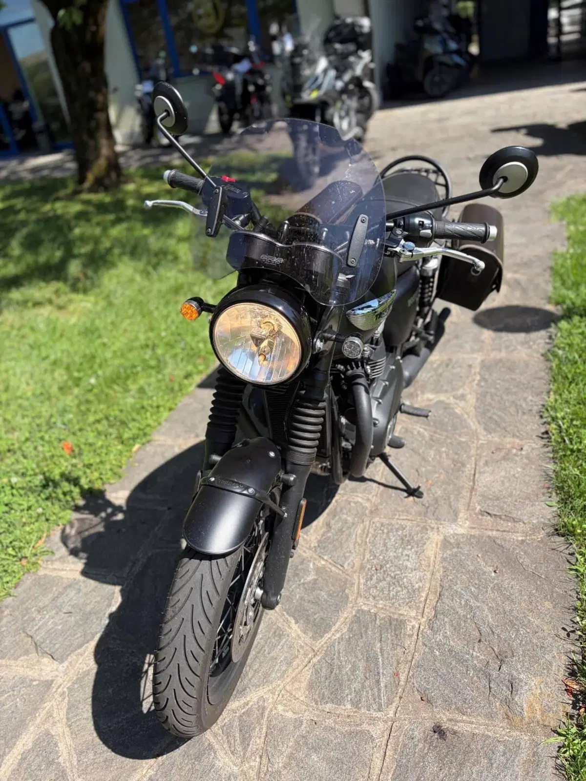 Triumph Bonneville T100 Black (2017 - 20) (3)