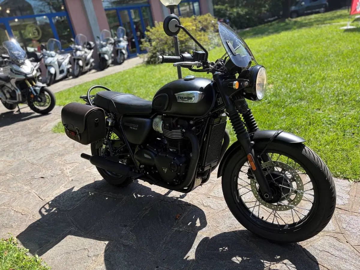Triumph Bonneville T100 Black (2017 - 20) (4)