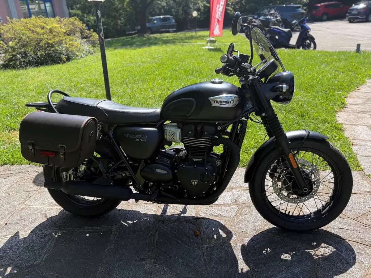 Triumph Bonneville T100 Black (2017 - 20) (5)