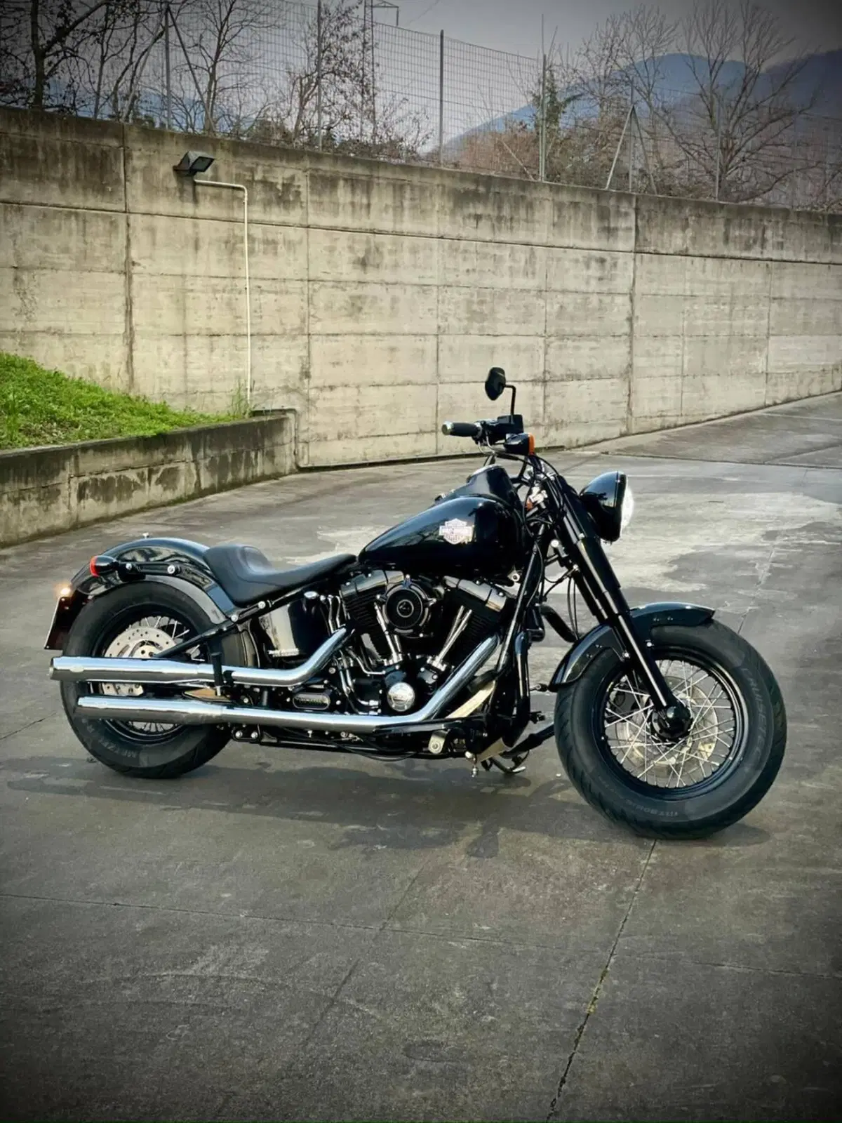 Harley-Davidson 1690 Slim (2011 - 16) - FLS