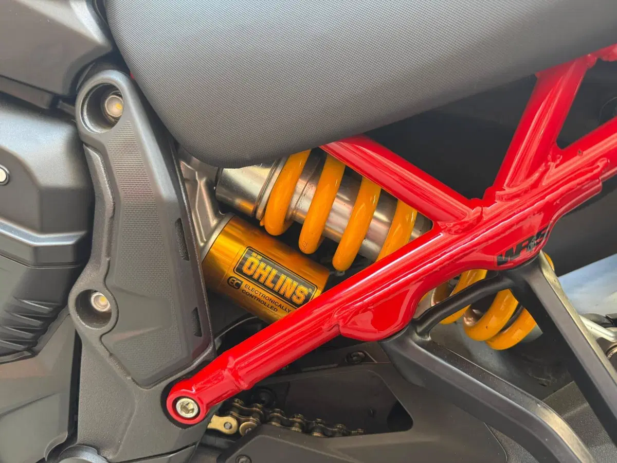 Ducati Multistrada V4 Pikes Peak (2021 - 24) (15)