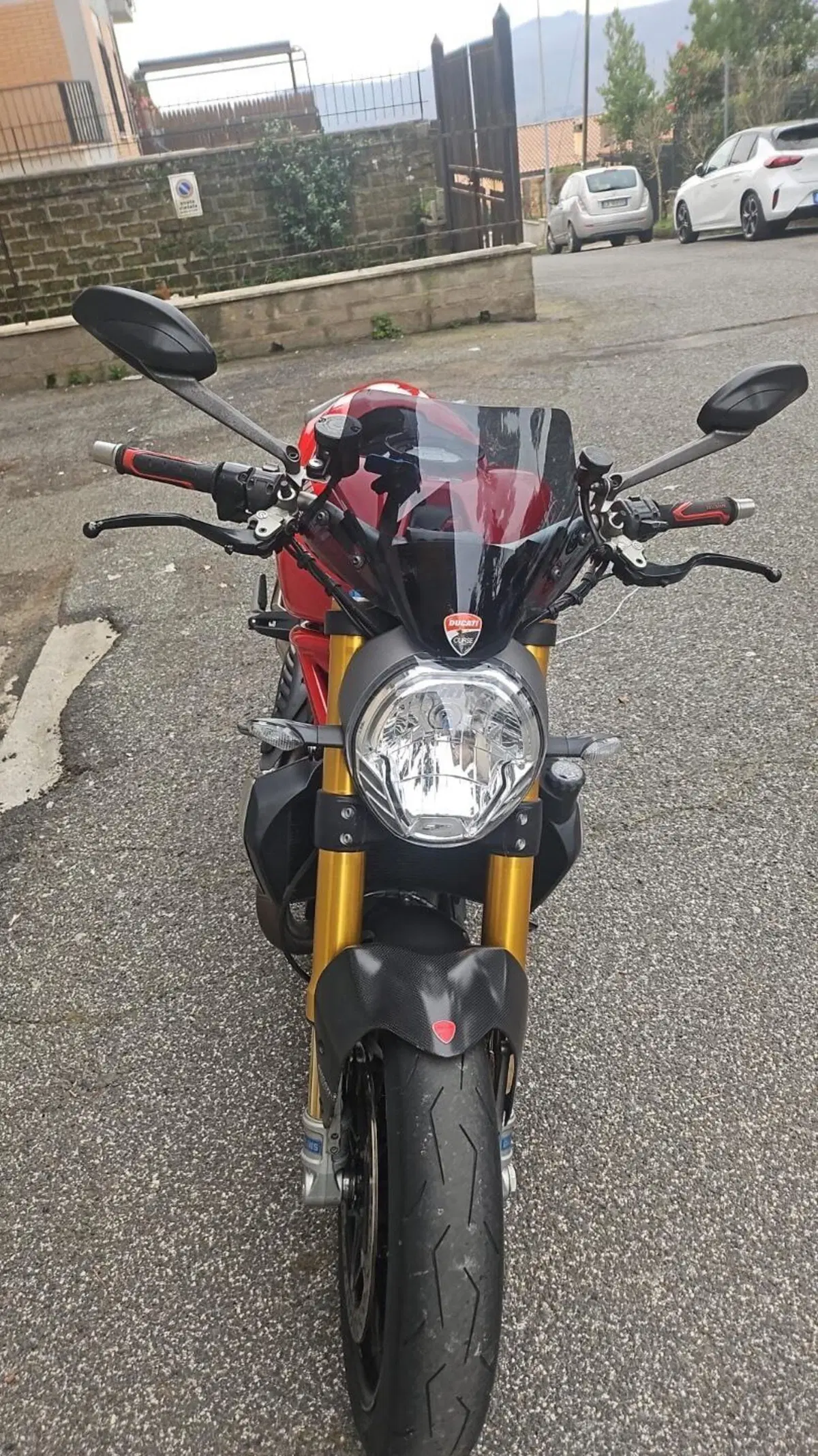 Ducati Monster 1200 S (2014 - 16) (3)