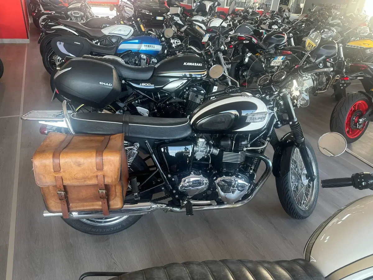 Triumph Bonneville T100 (2008 - 16) (2)