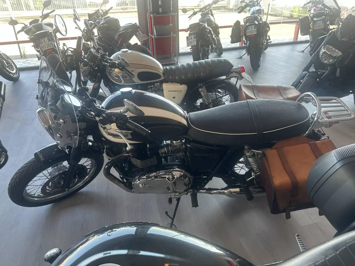 Triumph Bonneville T100 (2008 - 16) (3)