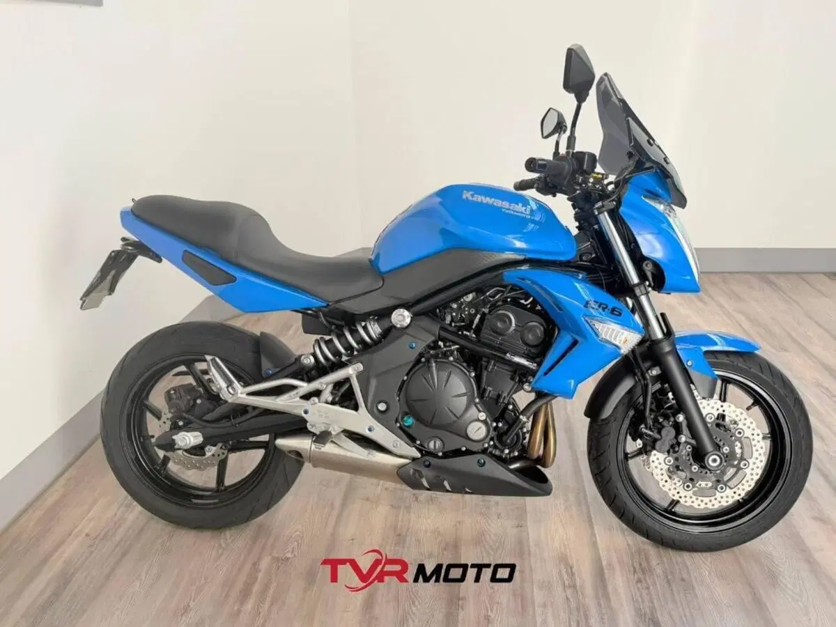 Kawasaki ER-6N (2009 - 11) (3)