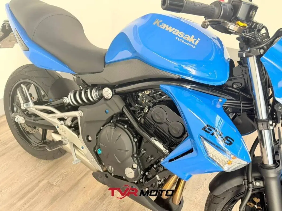 Kawasaki ER-6N (2009 - 11) (9)
