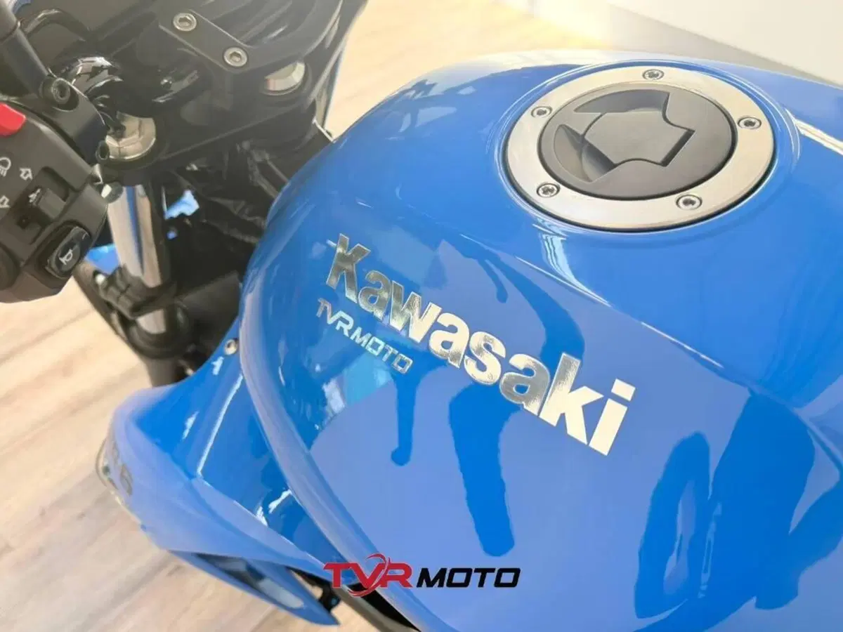 Kawasaki ER-6N (2009 - 11) (6)
