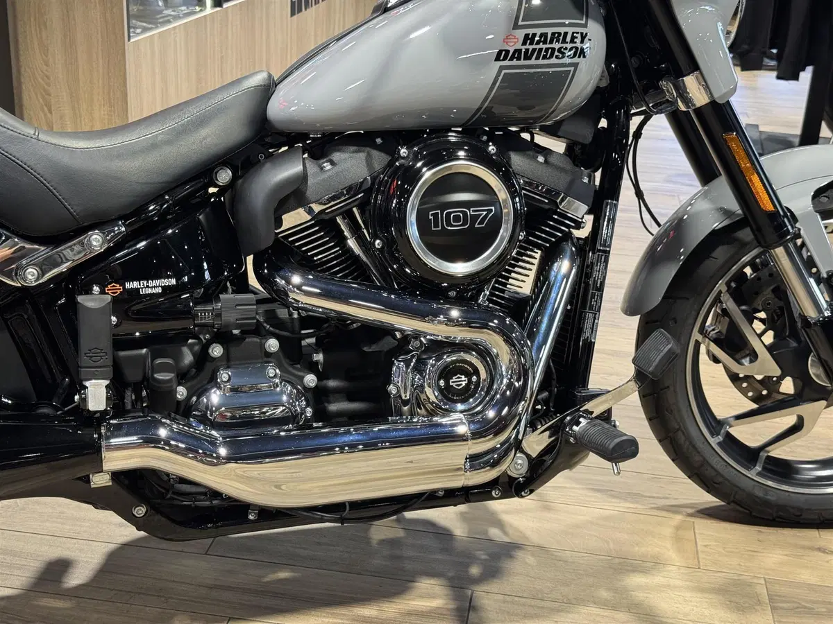Harley-Davidson Sport Glide (2021 - 25) (2)