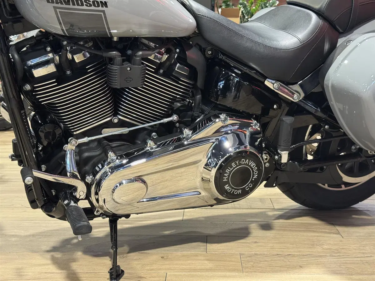 Harley-Davidson Sport Glide (2021 - 25) (5)