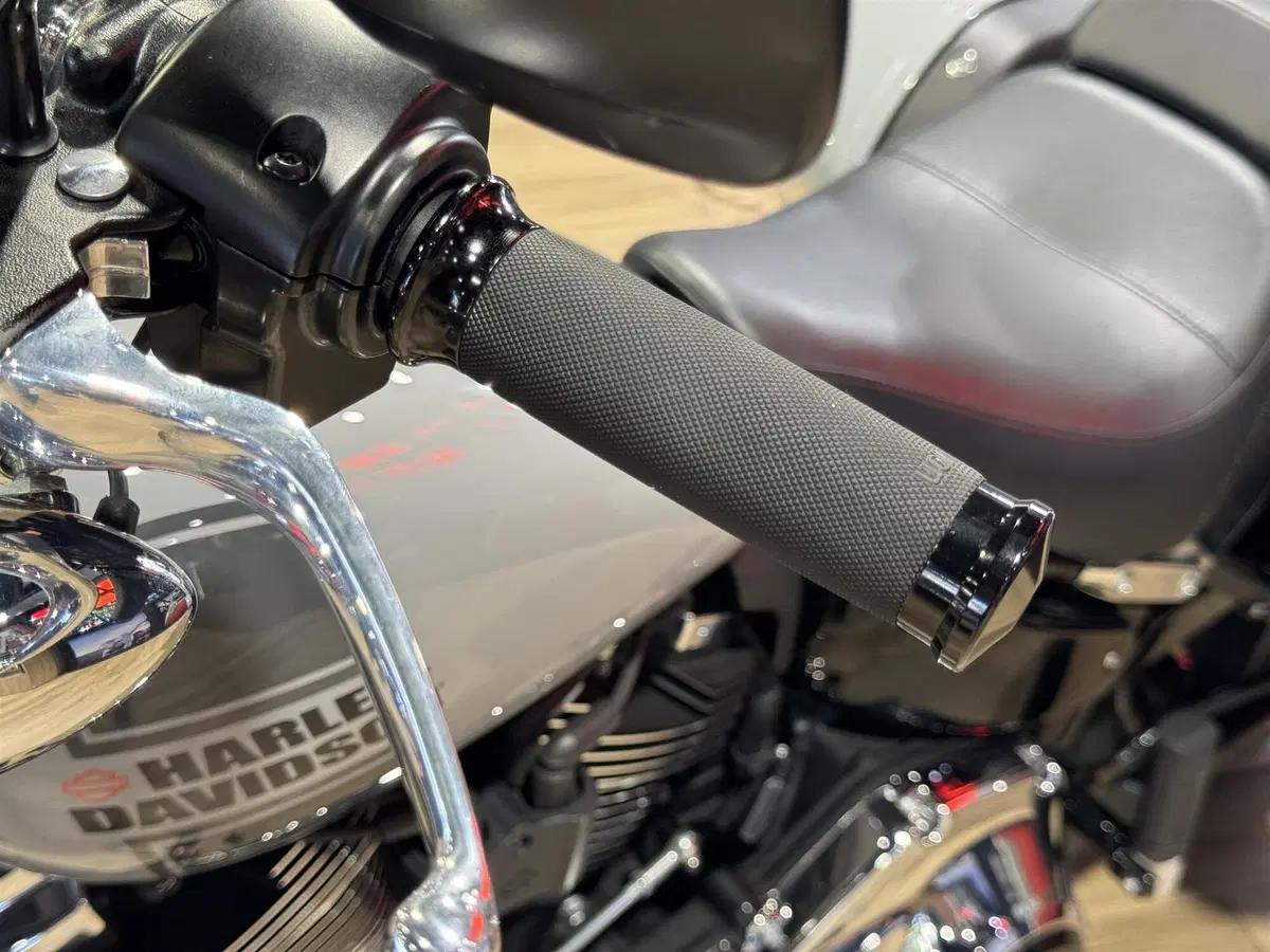 Harley-Davidson Sport Glide (2021 - 25) (6)