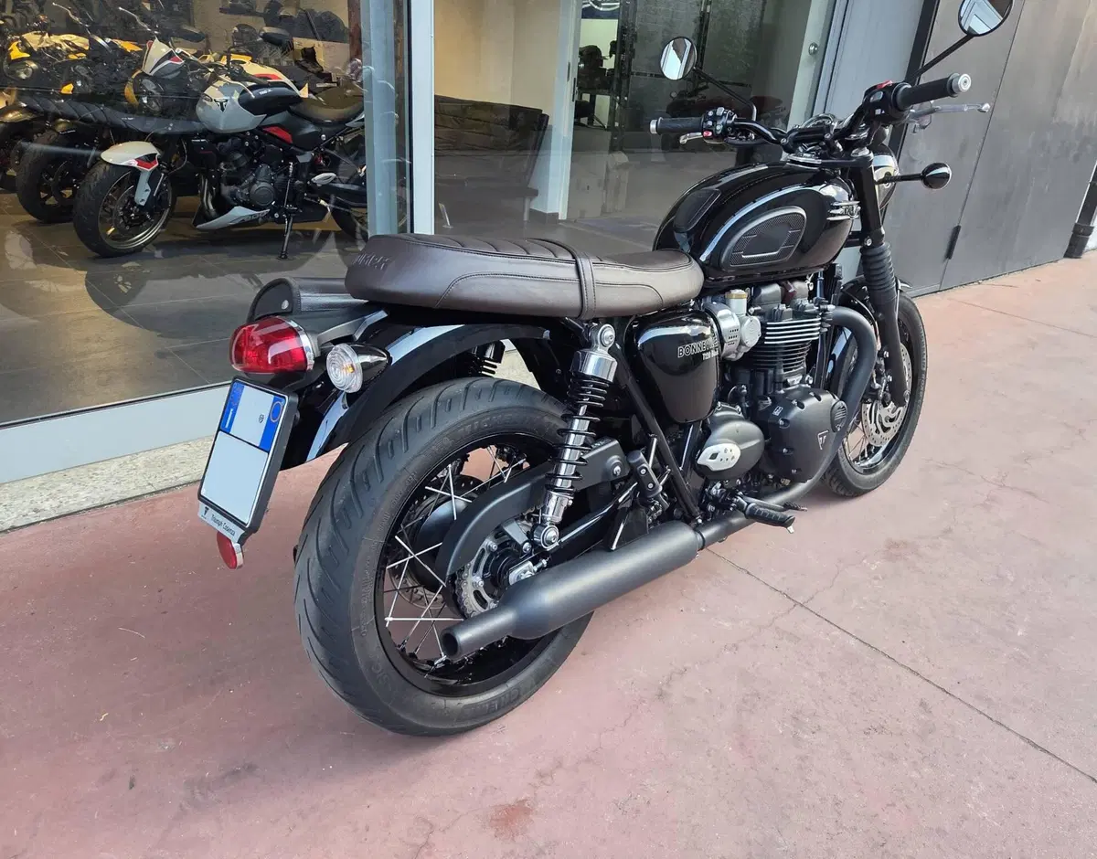 Triumph Bonneville T120 Black (2021 - 25) (4)