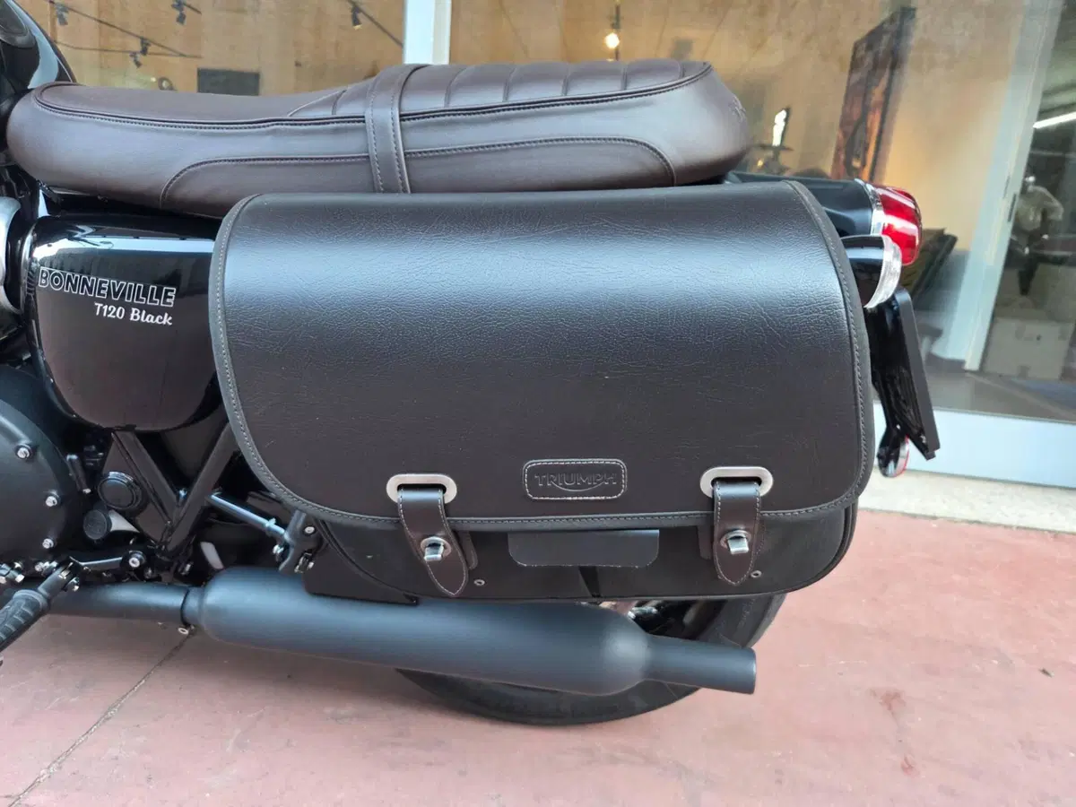Triumph Bonneville T120 Black (2021 - 25) (9)