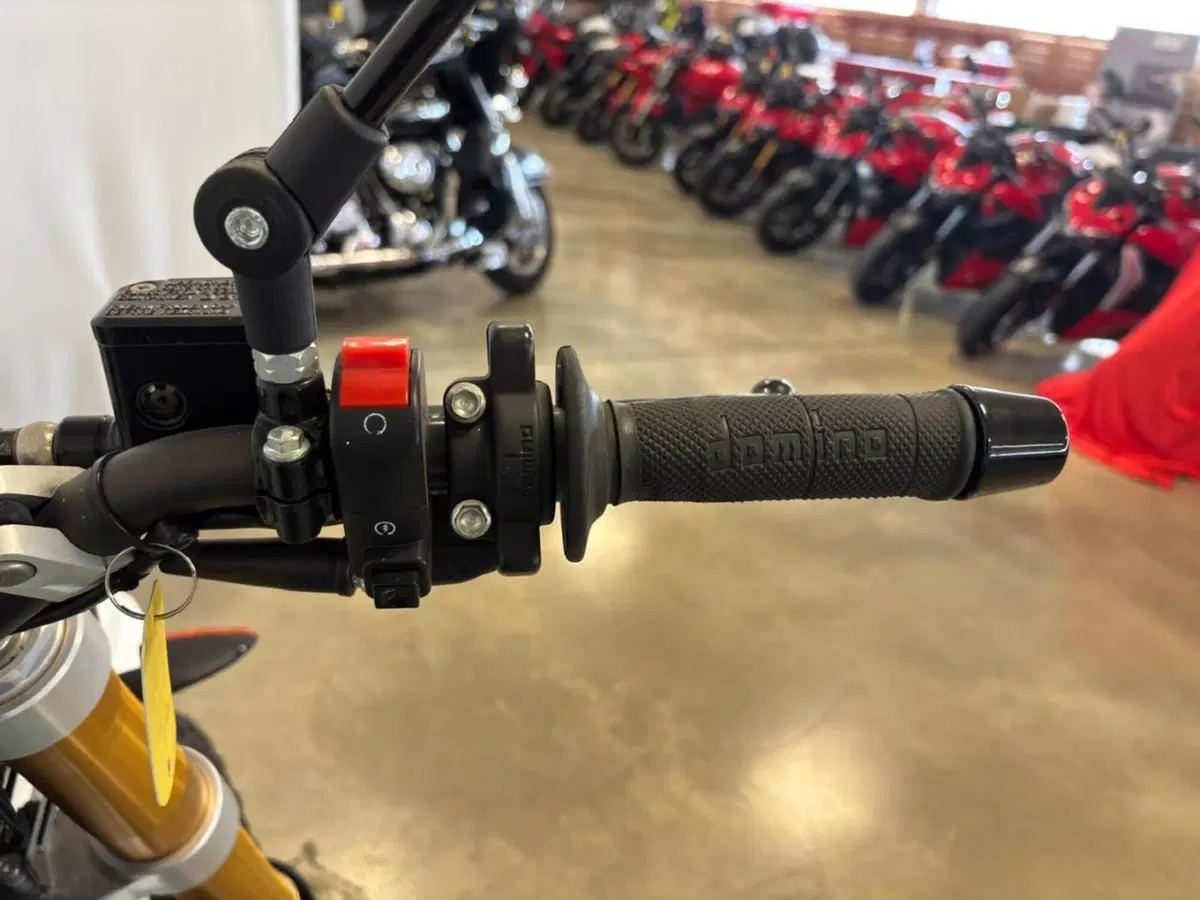 Fantic Motor Caballero 500 Anniversary (2020 - 21) (5)