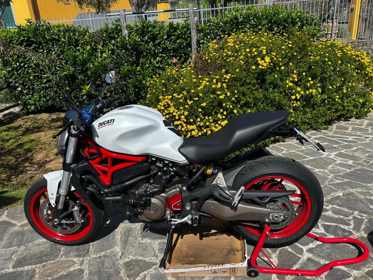 Ducati Monster 821 ABS (2014 - 17) (2)