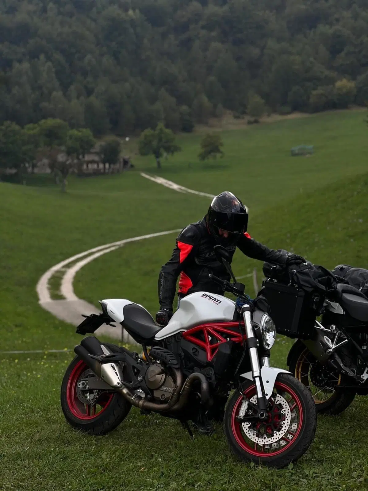Ducati Monster 821 ABS (2014 - 17) (5)