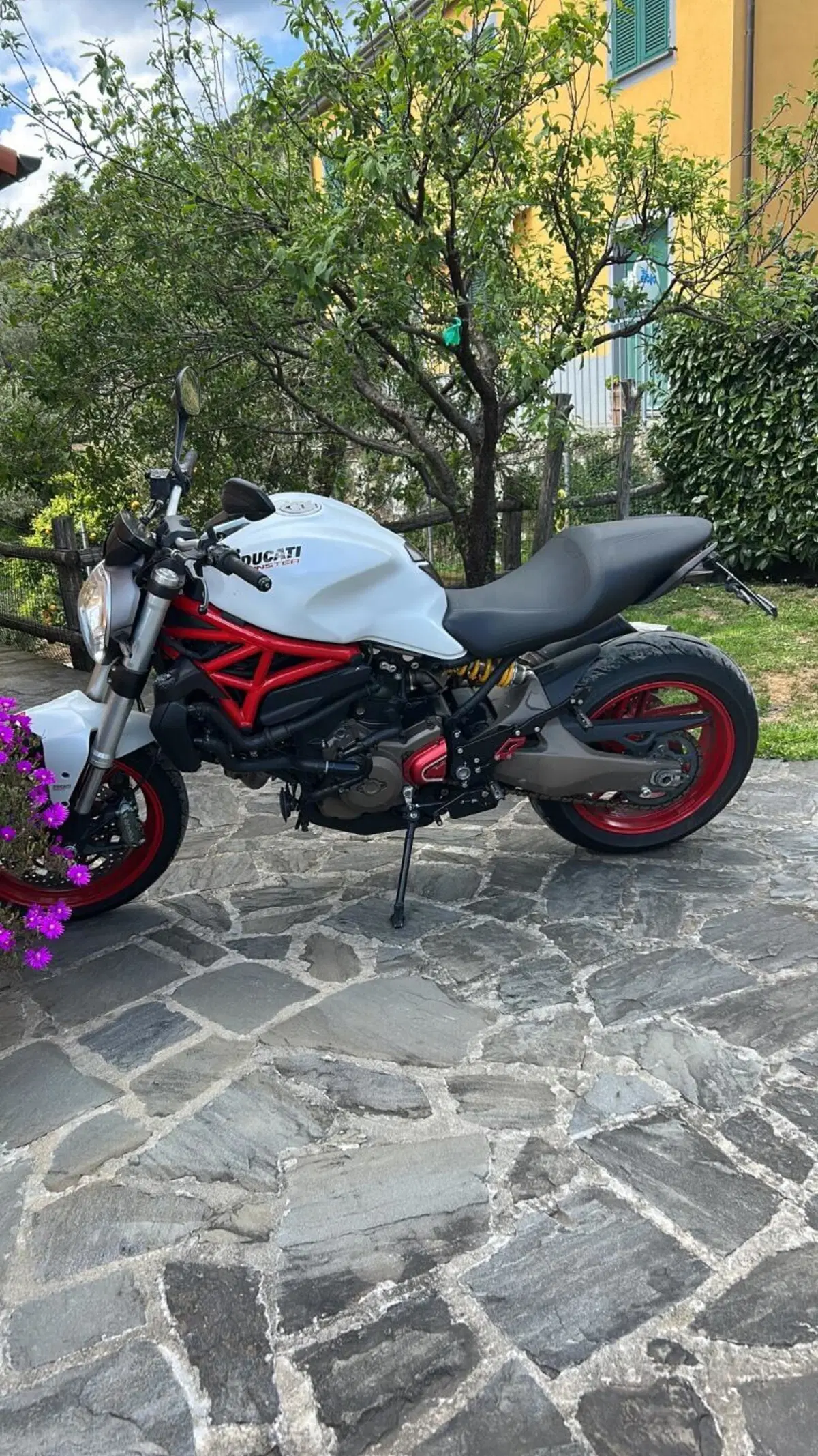 Ducati Monster 821 ABS (2014 - 17) (6)