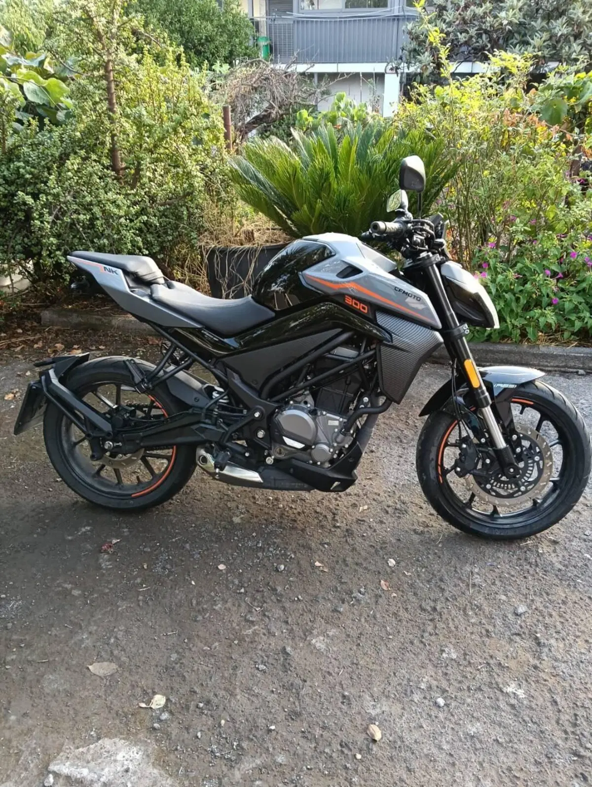 CFMOTO 300NK (2021 - 26)