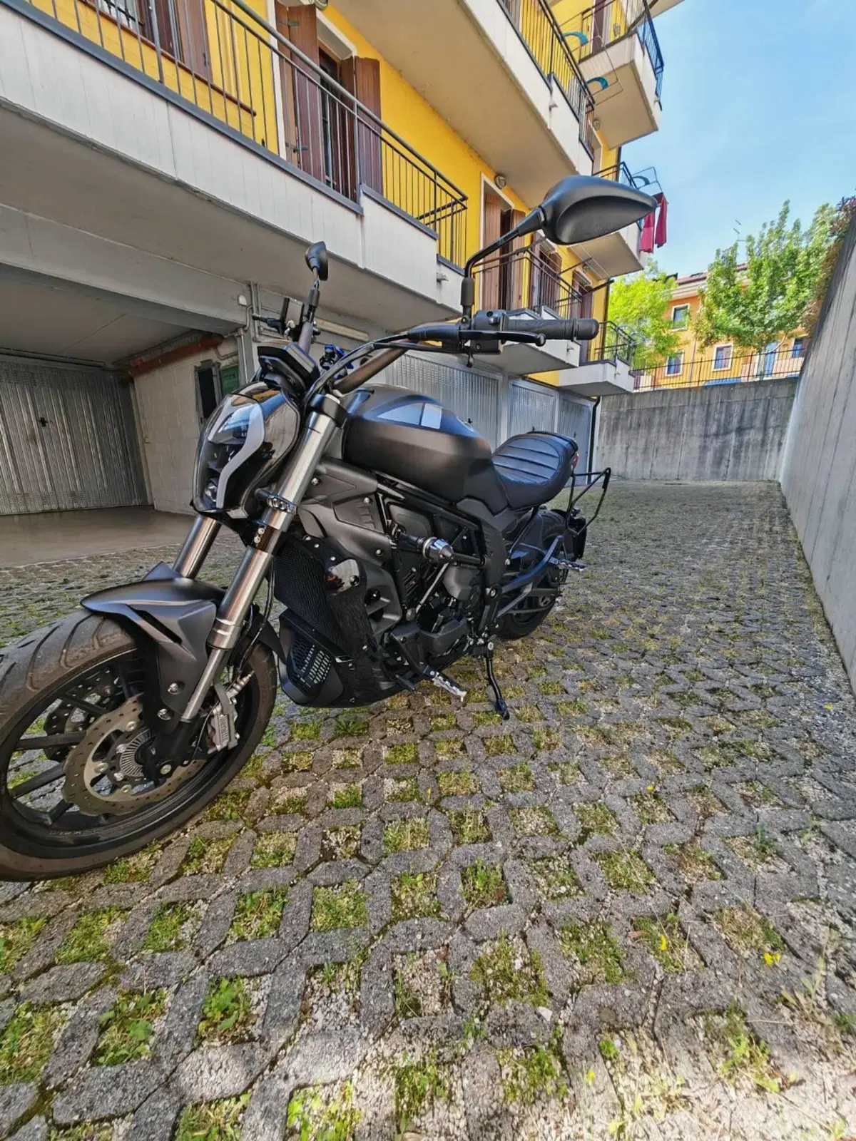 Benelli 502 C (2021 - 25) (5)