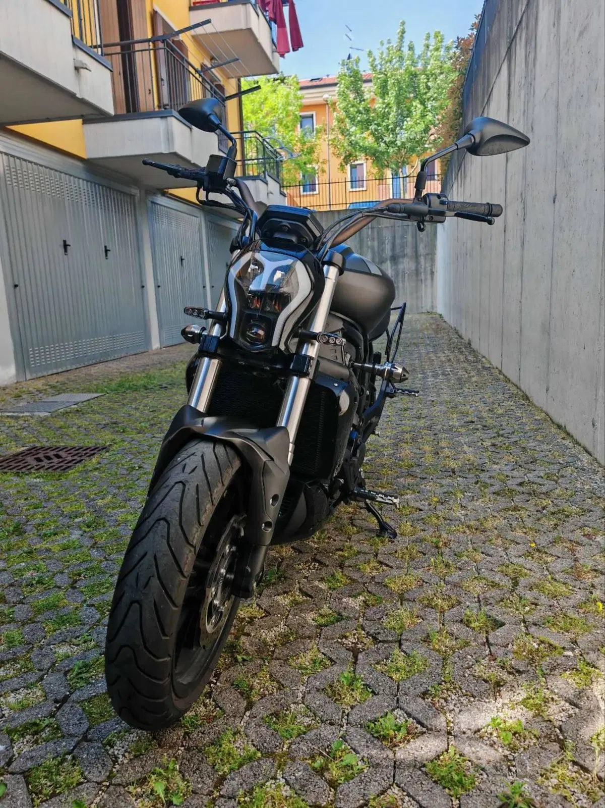 Benelli 502 C (2021 - 25) (8)