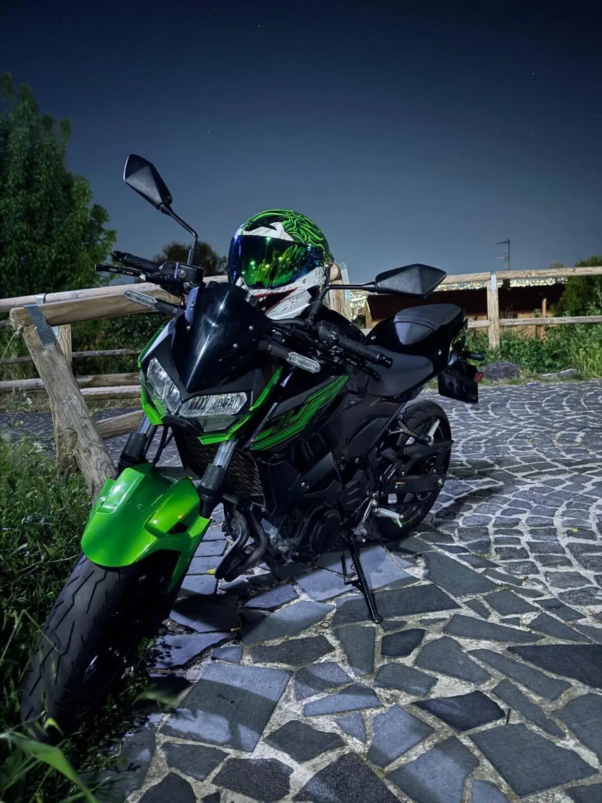 Kawasaki Z 400 (2019 - 20) (2)
