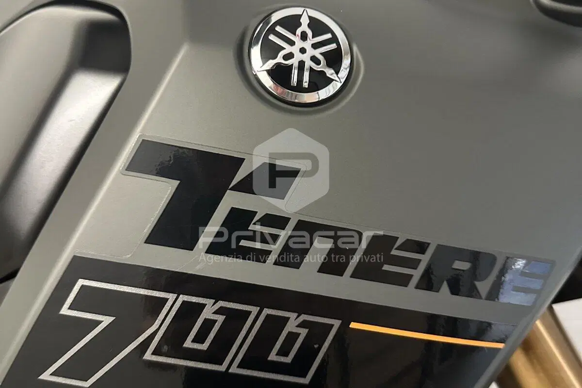 Yamaha Ténéré 700 Extreme Edition (2023 - 25) (13)
